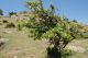 DSC_0033.JPG