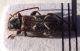 DSCF1614.JPG