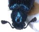 Sorso_29IV1993_oliveto_ombrello_4mm(A).jpg