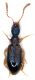 Sorso_21IV1993_oliveto_ombrello_2-3mm.jpg