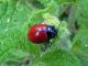 DSCN4272_1.JPG