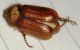 DSCF2731.JPG