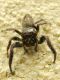 SME NORD 5.V.2012 070a.jpg