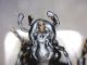 Carabus impressus Giordania capo.jpg