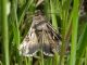 DSCN4362.JPG