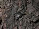 DSCN0799.JPG