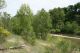 z rive 04.05.08.jpg