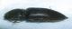 Image4.jpg