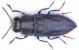 62_ecd1c90da4dac8f353d5ff4a0b32a717.jpg