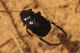 Campo_Felice_21-V-2012_CN030.JPG