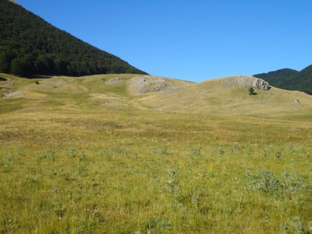 DSC00238 (640x480).jpg