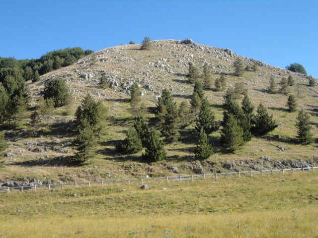 DSC00239 (640x480).jpg