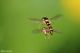 DSC_5493pbase.jpg