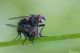 DSC_5880pbase.jpg