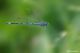 DSC_6467pbase.jpg