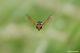DSC_6272pbase.jpg