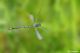 DSC_6419pbase.jpg