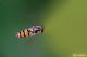 DSC_5708pbase.jpg
