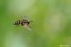 DSC_6241pbase.jpg