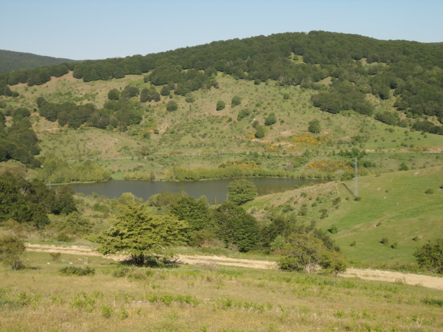 DSC01268.JPG