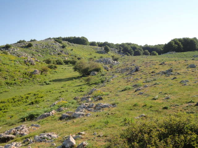 DSC01266.JPG