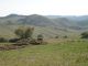 DSC01271.JPG