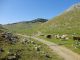DSC01279.JPG
