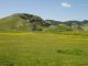 DSC01283.JPG