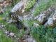 DSC01270.JPG