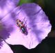 DSC_1350.JPG