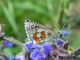 DSCN2528.jpg