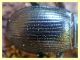 Tenebronidae - Anela - 12.8.2011 (2).JPG