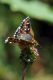 08 06 2012 Monteluco (2.jpg