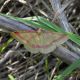 DSCN5145.jpg