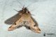 2012May18_0999.jpg