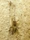 SME Sud 2.VI.2012 050a.jpg