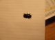 DSCF4818.JPG
