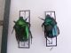 DSCF4957.JPG