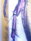 DSCN2990.JPG