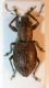 DSCN1258.JPG