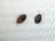 DSCN8463-3.jpg