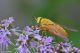 DSC_3018pbase.jpg