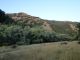 DSC01595.JPG