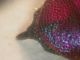 DSCN1405.JPG