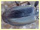 probabile Agonum sp. - Toe Caldara - 11.3.2012 (2).JPG