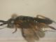 DSCN1517.JPG