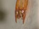 DSCN1641.JPG