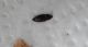 DSCN2804.JPG