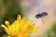 DSC_7739pbase.jpg