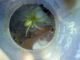 2012_08_12_13_10_45_368.jpg
